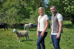 Ivanhoe of Sweden NLS BARLEY VEST, 100% OFÄRGAD ULL — BIRCH Sale