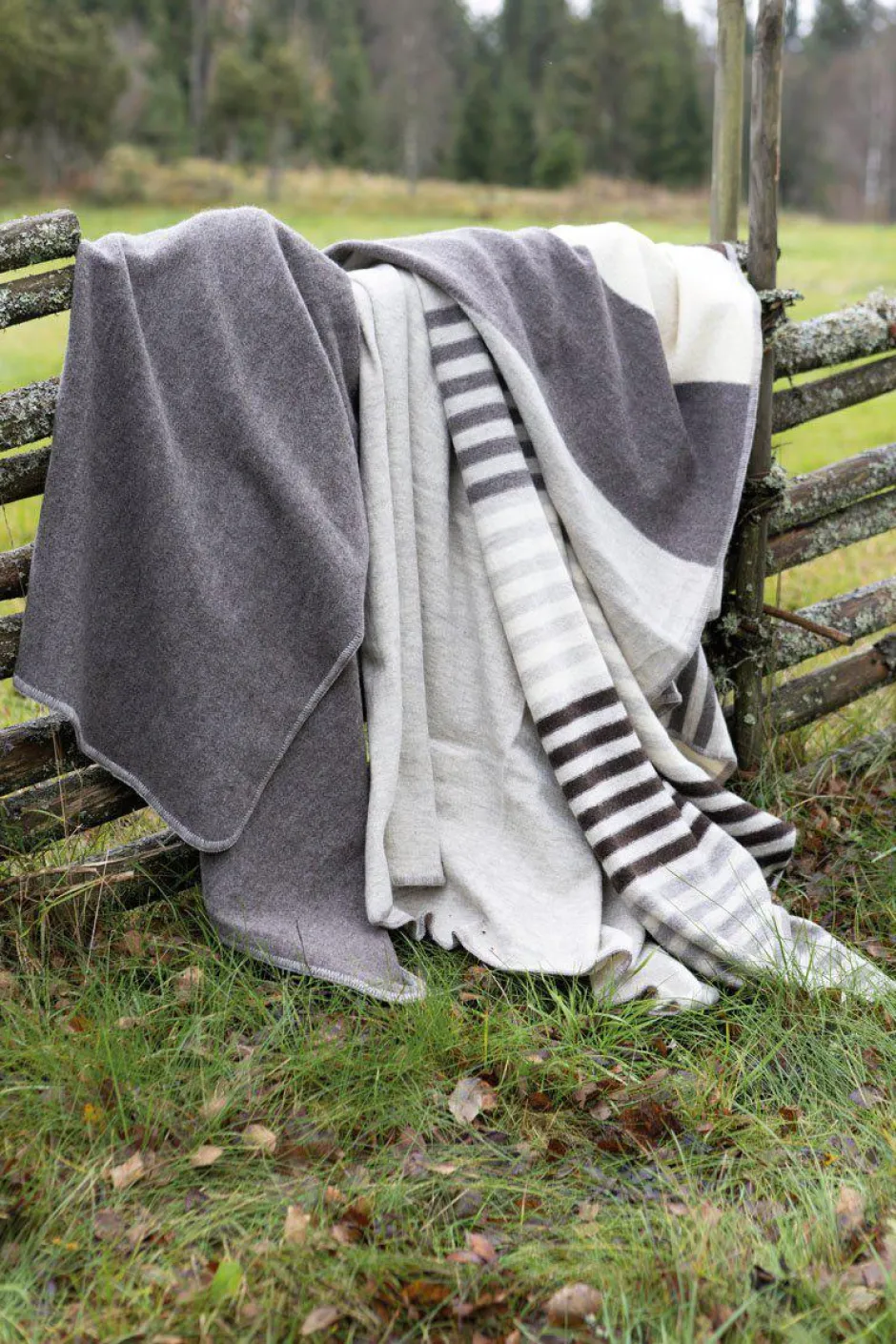 Ivanhoe of Sweden NLS BLANKET SOLID — BIRCH Sale