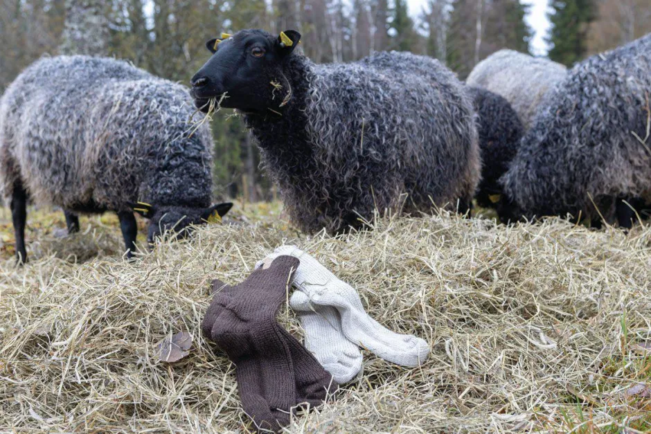 Ivanhoe of Sweden NLS RAG SOCK, 100% OFÄRGAD ULL — NATURMELANGE New